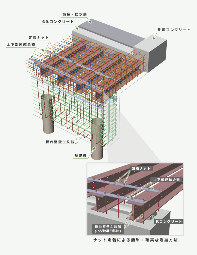 ERB構造イメージ図